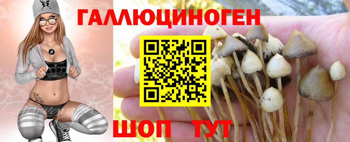 Магнитогорск  Галлюциногенные грибы ЛСД  Псилоцибиновые грибы MAGIC MUSHROOMS  Вход с VPN 